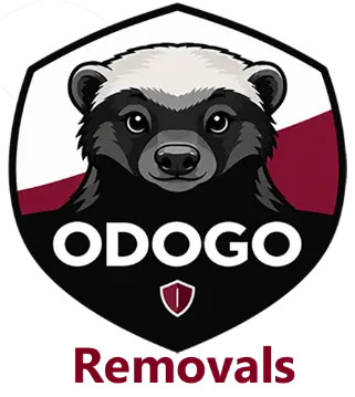 Odogo Removals