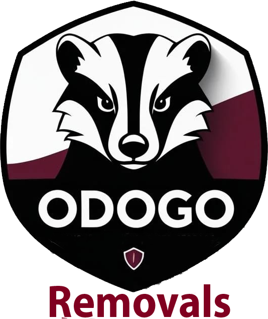 Odogo Removals